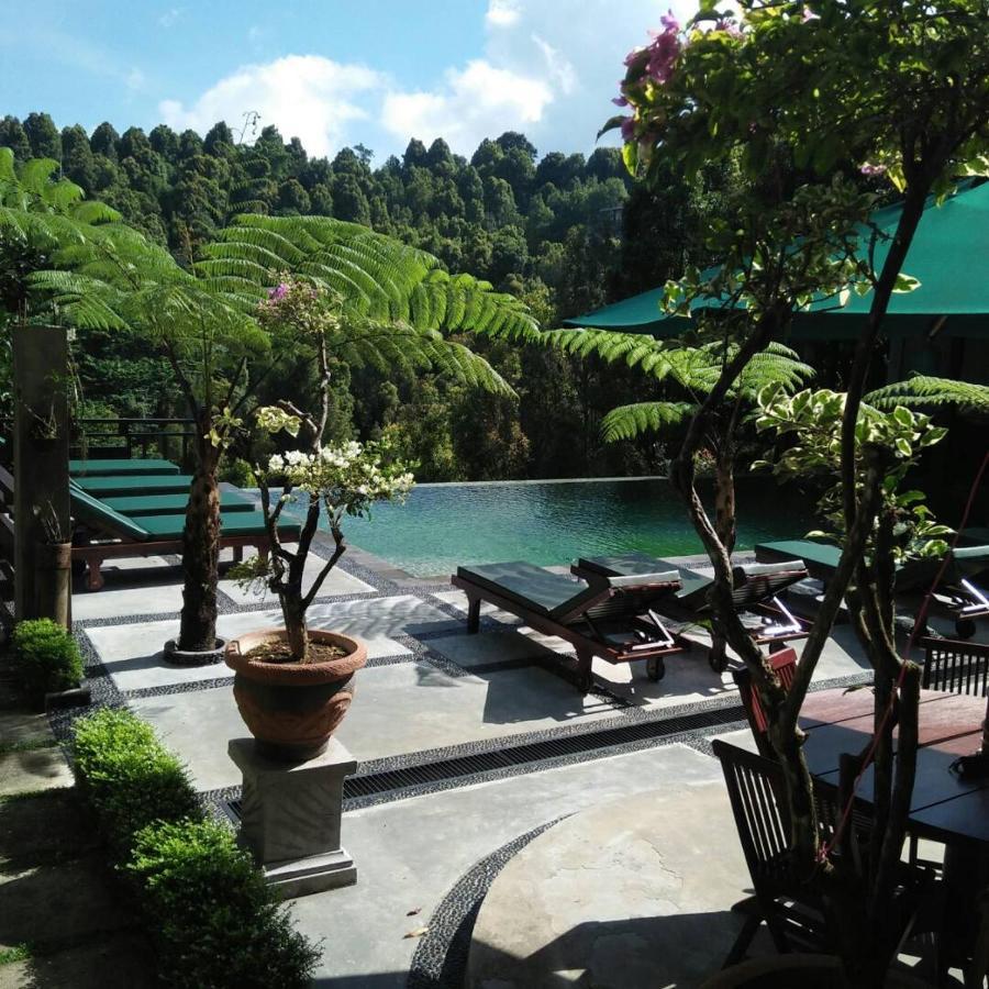 Bintang Munduk Hotel Bagian luar foto