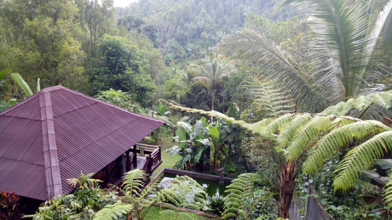 Bintang Munduk Hotel Bagian luar foto